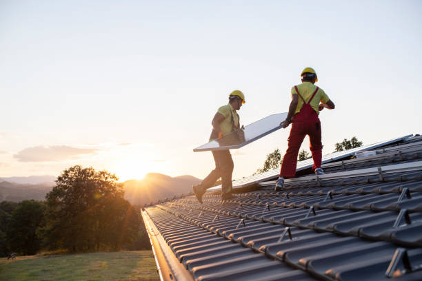 Best Roof Moss and Algae Removal  in Manhasset, NY