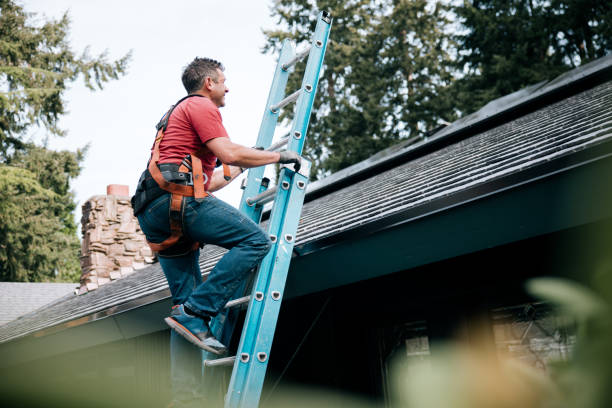 Best Roof Moss and Algae Removal  in Manhasset, NY